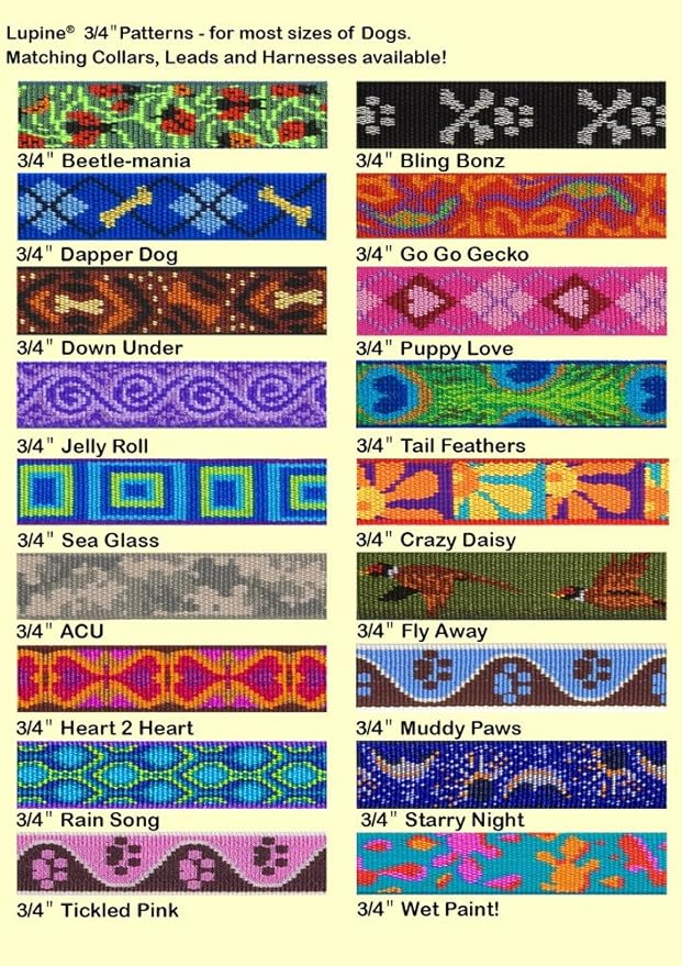 LupinePet Originals 3/4" Rain Song 13-22" Adjustable Collar for Medium and Larger Dogs