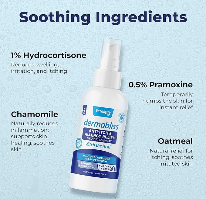Vetnique Dermabliss Anti Itch Spray for Dogs & Cats with Hydrocortisone for Allergies and Immediate Dog Itching Skin Relief - Fragrance Free with Soothing Oat Extract (4oz)