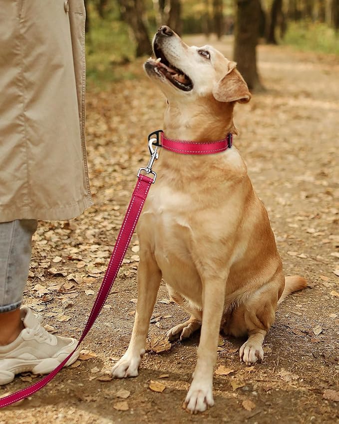 TagME Reflective Nylon Dog Collars, Adjustable Classic Pet Collar with Quick Release Buckle for Large Dogs, Hot Pink, 1.0" Width