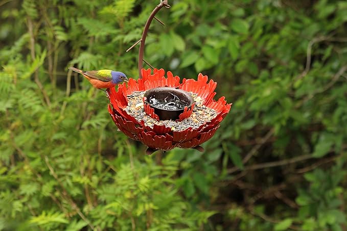 Desert Steel Coral Sunset Peony Hanging Feeder - (Orange - 9”W x 11.5”H) - Loose Seed Metal Birdfeeder