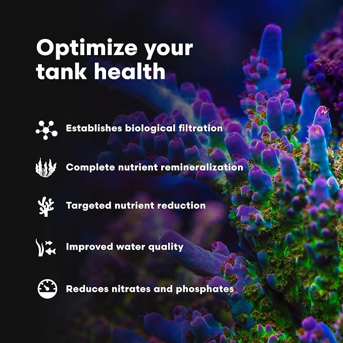 Brightwell Aquatics MicroBacter7 Complete Bioculture for Fish Tank or Aquarium - Populates Biological Filter Media for Saltwater and Freshwater Fish - Aquarium Water Treatments, 4.2 fl oz