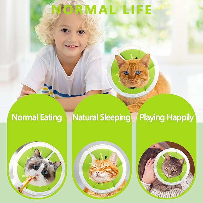 Soft Adjustable Cat Cone Collar, Comfortable Recovery Collar for Cats After Surgery (Kiwifruit, Medium)