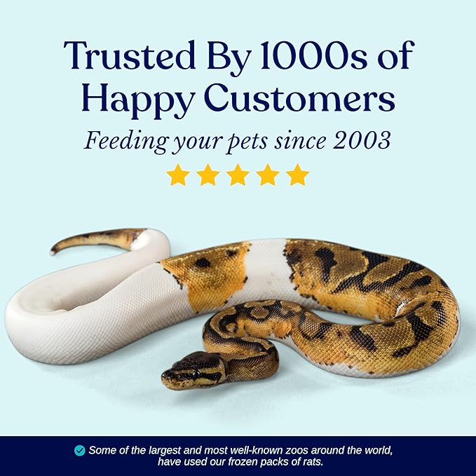 MiceDirect EST. 2003 75 Frozen Mice Pinkie Feeders Snake Food for Corn Ball Pythons Lizards (.5-1 in) (150 Grams Min)