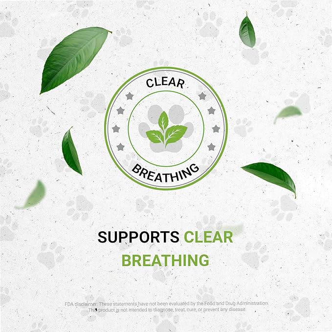 Lion's Respiratory | Natural Herbal Dietary Supplement for Cats | Healthy Respiratory System Support in Cats | Alcohol-Free Extract, Linden, Elder Flowers, Chamomile, Peppermint, Fennel 2 oz