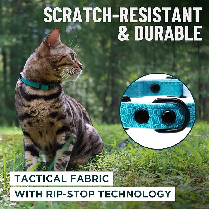 OutdoorBengal Green Breakaway Kitten Collar - Ultra Safe Quick Release Cat Collar for Small Kittens Under 6 Months – Soft-Padded, Lightweight, Adjustable, Thin and Comfortable, No Bell (Green, Kitten)