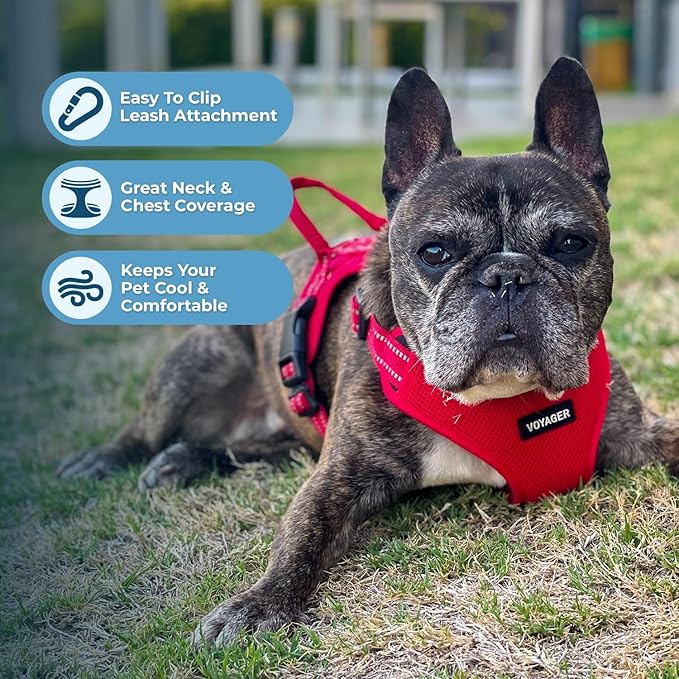Best Pet Supplies Voyager Adjustable Step-in Flex Breathable Mesh Dog Harness for Small Medium Large Dogs Leash Set (Red), S