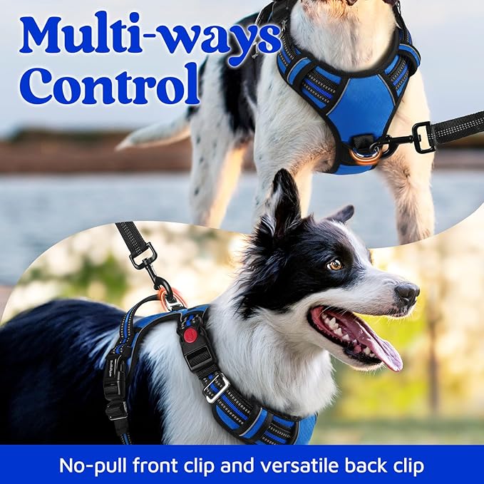 rabbitgoo Dog Harness Medium Sized, No Pull Dog Vest with 3 Buckles, Adjustable Soft Padded Pet Harness with Easy Control Handle and Reflective Strips, Royal Blue, M