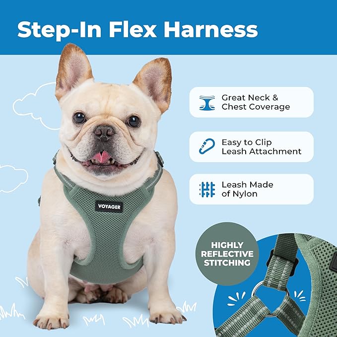 Best Pet Supplies Voyager Adjustable Step-in Flex Breathable Mesh Dog Harness for Small Medium Large Dogs Moss Green, XS