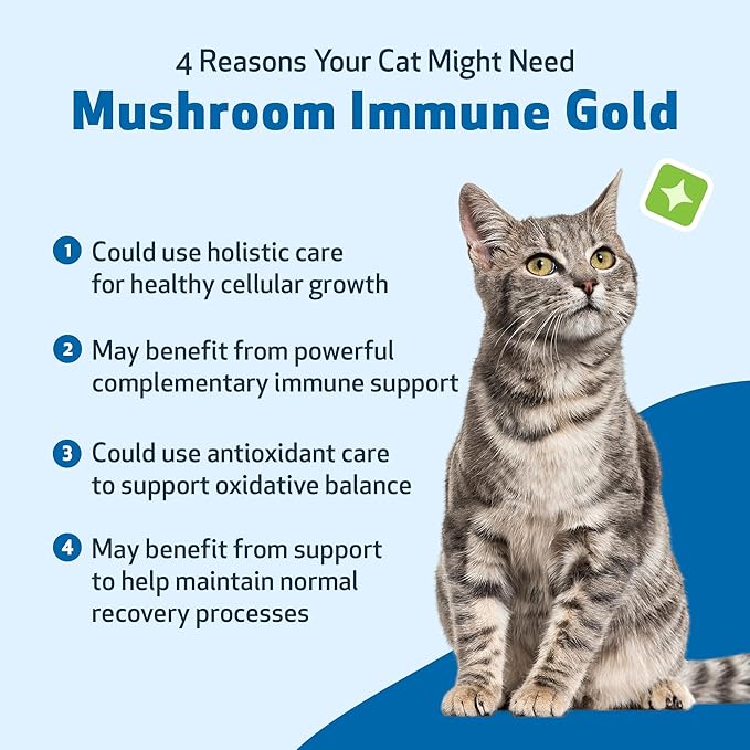 Pet Wellbeing Mushroom Immune Gold for Cats - Holistic Immune Support with Reishi, Maitake, Turkey Tail, and Milk Thistle - Veterinarian-Formulated Functional Mushroom Supplement 8 oz (237 ml)