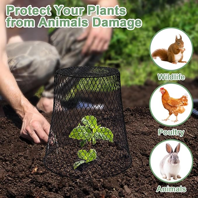 10 Pcs 9"×9" (Multiple Sizes/Quantities Available) Chicken Wire Plant Protectors from Animals, Plant Cage Garden Cloche to Protect Plants Vegetables from Rabbits Squirrels Chicken
