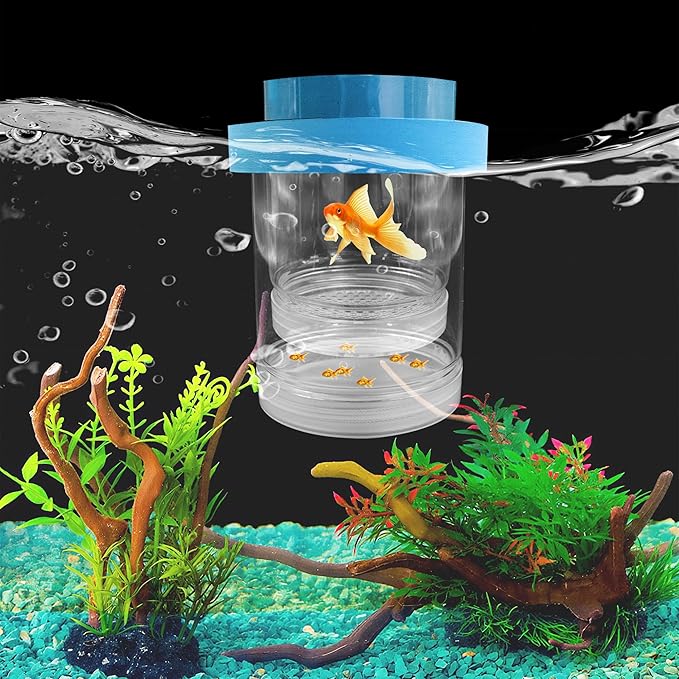 Large Floating Fish Breeding Box, Plastic Breeding Box for Fish Tank with Suction Cup, Clear Aquarium Divider Incubator, Adjustable Isolation Hatchery for Shrimp Guppy