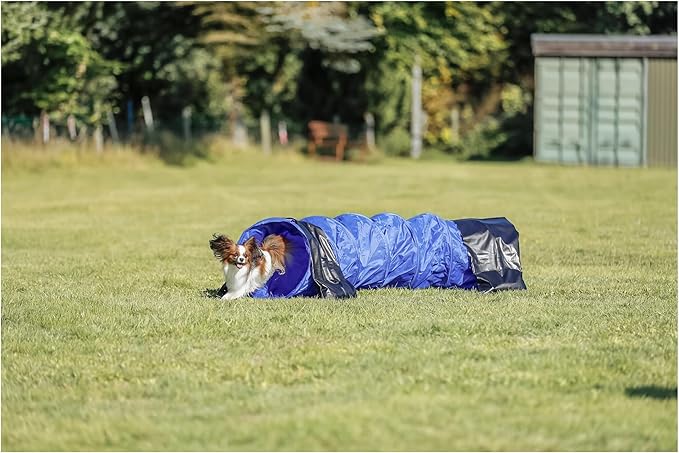 TRIXIE Dog Agility Tunnel– Dog Tunnel for Small Dogs or Cats Agility Training, Portable Dog Tunnel 78.7 in Long & 15.7 in Diameter, Dog Agility Equipment for Beginners & Advanced