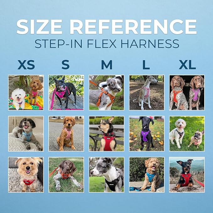 Best Pet Supplies Voyager Adjustable Step-in Flex Breathable Mesh Dog Harness for Small Medium Large Dogs (Turquoise), M