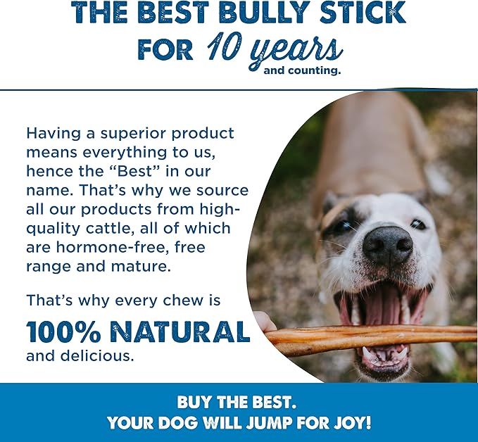 Best Bully Sticks Odorless 4-8 Inch Bully Sticks for Dogs - 8 oz (Pack of 1) - Natural Grass-Fed Beef, No Rawhide, Grain and Odor Free Chew Treat - Small, Medium, Large Breeds, Puppies