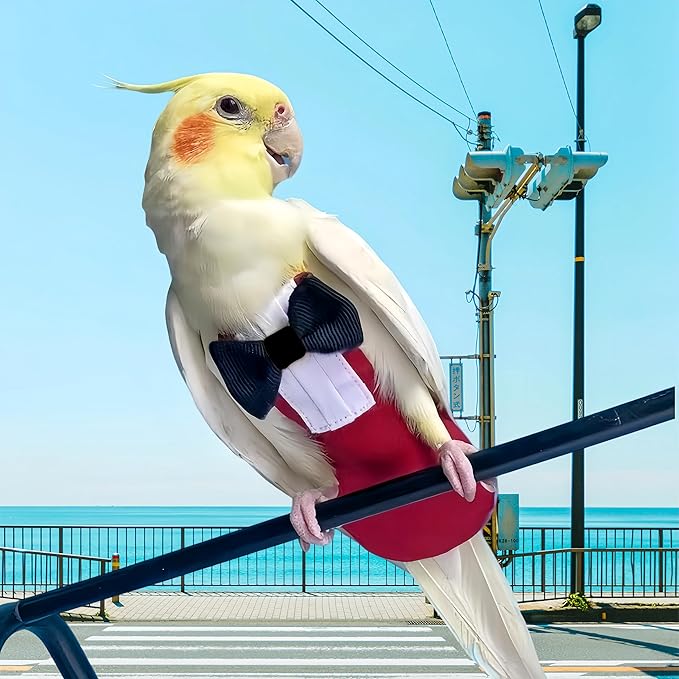 Bird Diapers with Bow Bird Harness Tuxedo Flight Suits with 80in Flying Leash Parrot Nappy with Waterproof Inner Layer Urine Wet Suite for Cockatiel Conure Parakeet Macaw Budgie-Red,XL