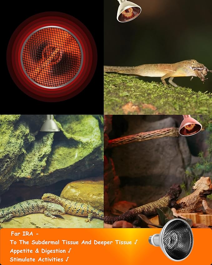 Deep Heat Projector - DHP 160W Infrared Reptile Heat Lamp Bulbs for Turtle Light Bearded Dragon Chicken Lizard Leopard Gecko Snake