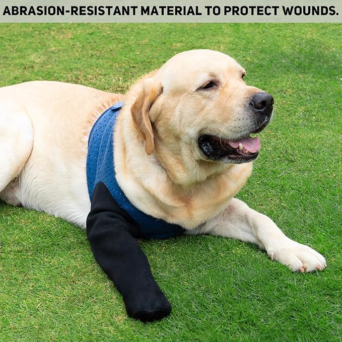 COODEO Dog Socks to Prevent Licking Paws, Healing Boots & Paw Protectors with Non-Slip Bottoms for Wound Protection, Waterproof Sleeve Shoes for Licking（Blue，XL_Right