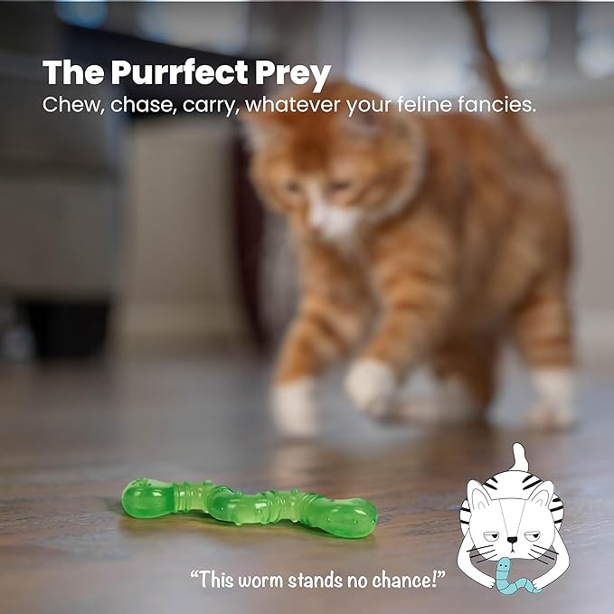 Catstages OrkaKat Wiggle Worm Cat Chew Toy – Catnip Dental Toy for Kittens and Cats, Orange Rubber with Ridges