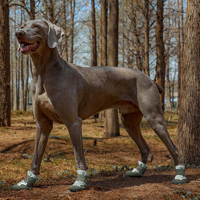Dog Shoes, Waterproof Dog Boots & Paw Protectors with Anti-Slip Sole, 4pcs/Set Pet Dog Booties, Reflective Dog Shoes for Small Medium Large, Winter Snowy Summer Hot Pavement (Green, 8# (2XL))