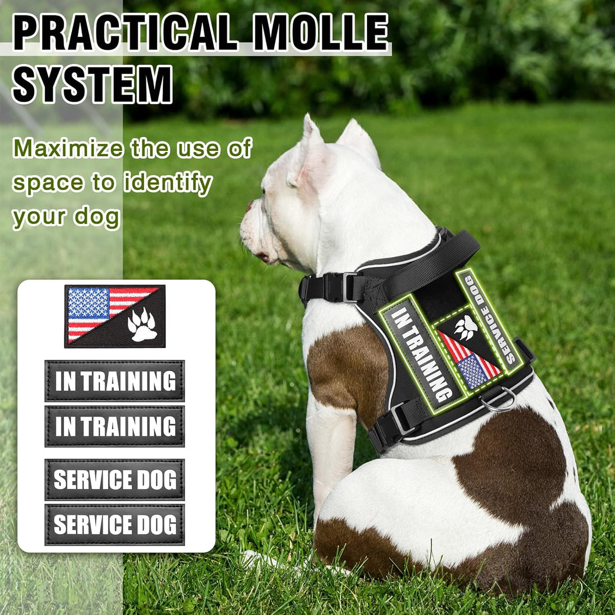 WINSEE Service Dog in Training Harness with 5 PCS Patches, Reflective Tactical Dog Vest Harness, Adjustable Soft Oxford Pet Harness with Easy Control Handle, Hook & Loop Panels for Walking Hiking