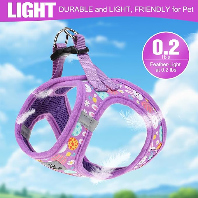 EXPAWLORER Easter Small Dog Harness - Dog Collar and Leash Set - Soft Mesh Padded Adjustable Step in Puppy Vest Harness No Pull, Reflective Escape Proof for Outdoor Walking, Bunny Egg M