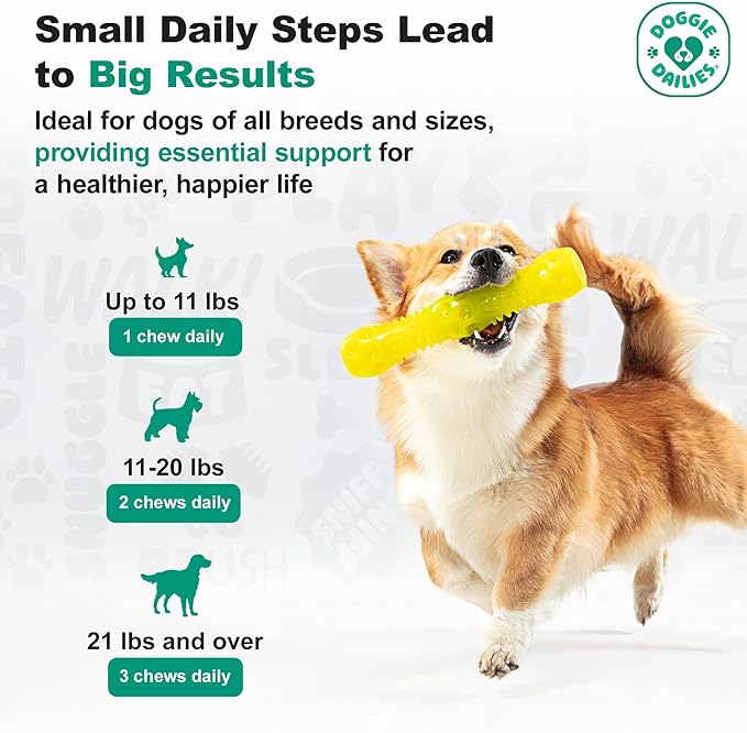 Doggie Dailies Puppy Probiotic, Probiotics for Puppies with Digestive Enzymes, Promotes Digestive Health, Supports Immune System & Overall Development (Pumpkin) 120 Soft Chews