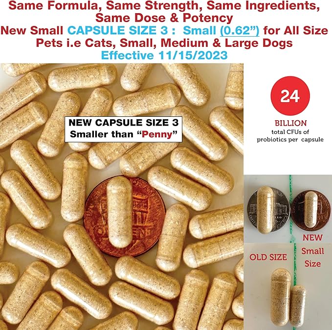 Azovast Plus Kidney Health Supplement for Dogs & Cats, 120ct - NO Refrigeration Required - Help Support Kidney Function & Manage Renal Toxins - Renal Care Supplement Capsule(U.S.A) (120 Caps)