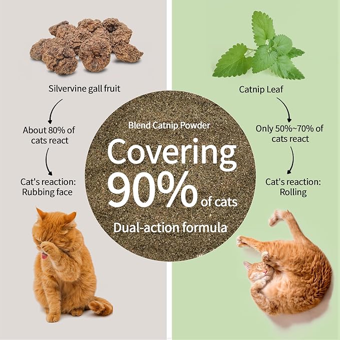 Catnip & Silvervine Powder – 50g Blend of Silvervine Gall Fruit & Catnip, Non-Addictive, for All Cat Ages, Multi-Use with Toys, Scratchers & Protecting Furniture, with 5 Little Pouches