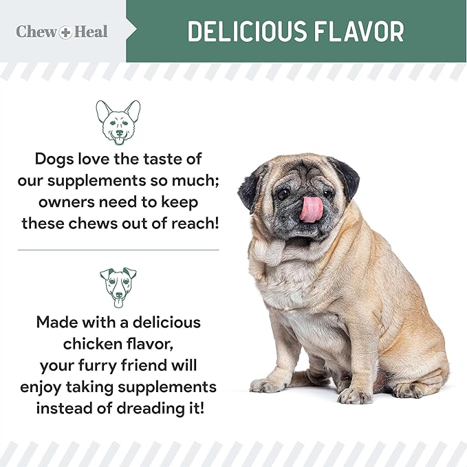 Glucosamine for Dogs Hip and Joint Supplement - 60 Senior Dogs Mobility Soft Chews - Made with Glucosamine, MSM, Chondroitin, Green Lipped Mussels and More - Made in The USA