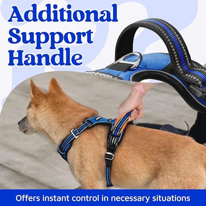 rabbitgoo Dog Harness Small Sized, No Pull Dog Vest with 3 Buckles, Adjustable Soft Padded Pet Harness with Easy Control Handle and Reflective Strips, Royal Blue, S