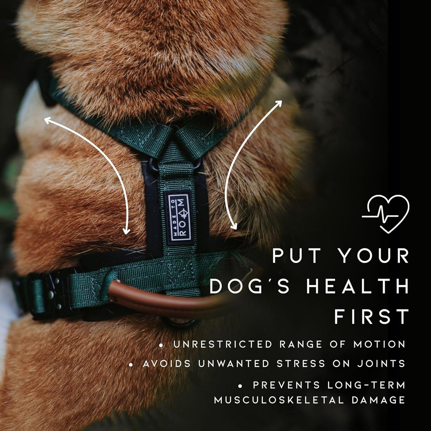 MADE TO ROAM Premium Explorer Harness - Y-Shaped Dog Harness with Adjustable Durable Nylon, Soft Padding, Metal Buckles and Leather Handle for Small, Medium, Large Dogs (Utah Glow, Size 1)