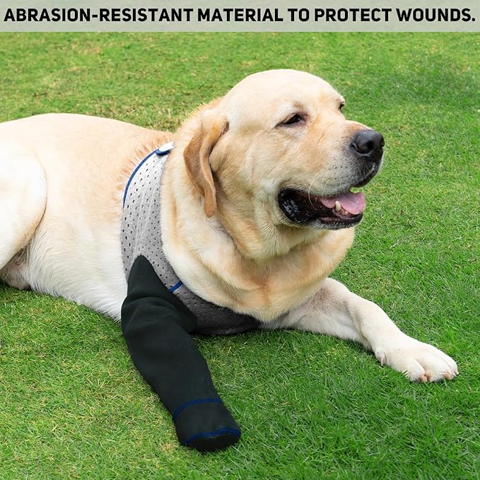 COODEO Dog Socks to Prevent Licking Paws, Healing Boots & Paw Protectors with Non-Slip Bottoms for Wound Protection, Waterproof Sleeve Shoes for Licking（Grey，M_Right
