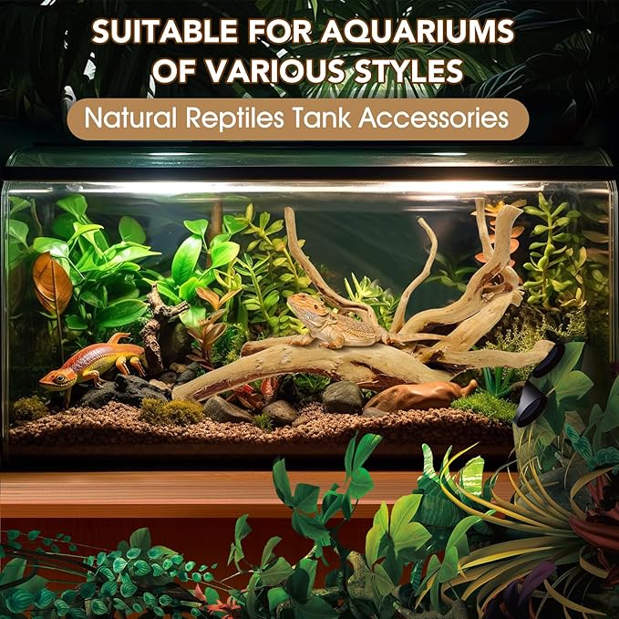 Jorewood Natural Large Spiderwood Driftwood for Aquarium Decor Rptile Fish Tank Decoration Assort Branch 11-14'' 2 Pcs