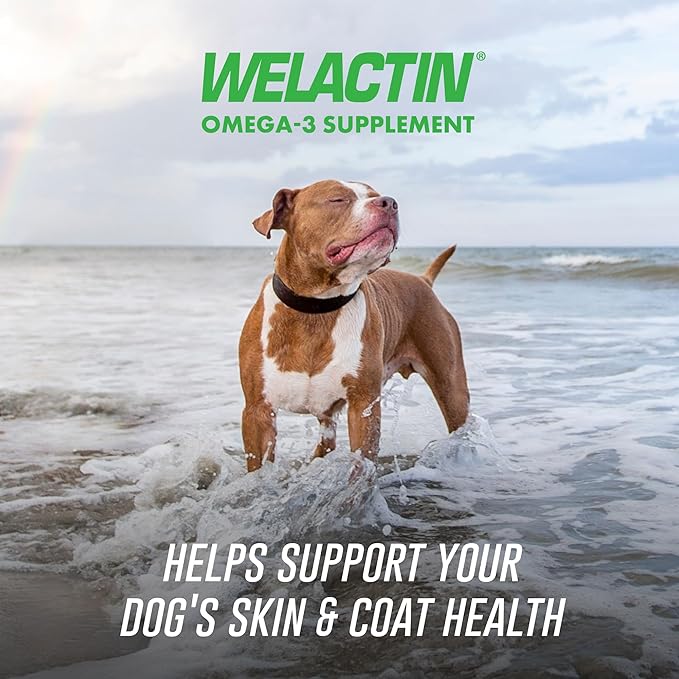 Nutramax Welactin Omega 3 Fish Oil for Dogs, Skin and Coat Health Supplement, Plus Immune and Overall Health, Premium Omega 3 Fatty Acids, Multivitamin For Dogs, Soft Chews, 60 Count