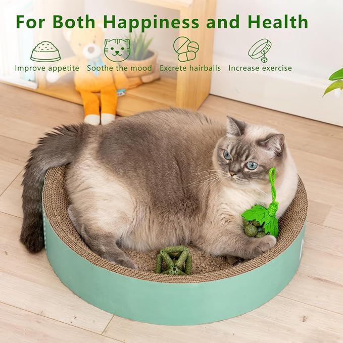 Cat Catnip Toys,2Pcs Catnip Ball for Cats,Toys for Indoor Cats,Cat Chew Exercise Toy for All Breeds and Species,Enhances Oral and Dental Health