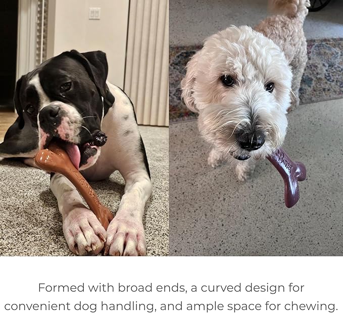 2-Pack Non-Toxic Dog Toys - Sustainable Roasted Peanut Butter Flavored Dog Chew Toys for Aggressive Chewers - Plant-Based Bioplastic Pet Toys - Made in The USA (Mini)