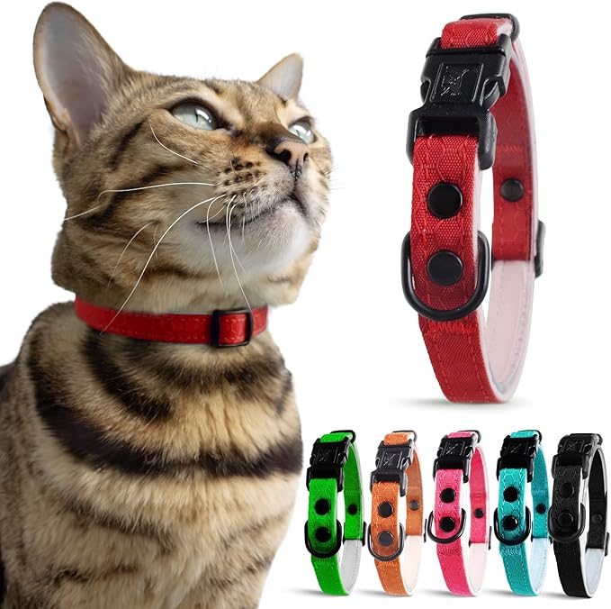 OutdoorBengal Red Breakaway Kitten Collar - Ultra Safe Quick Release Cat Collar for Small Kittens Under 6 Months – Soft-Padded, Lightweight, Adjustable, Thin and Comfortable, No Bell (Red, Kitten)