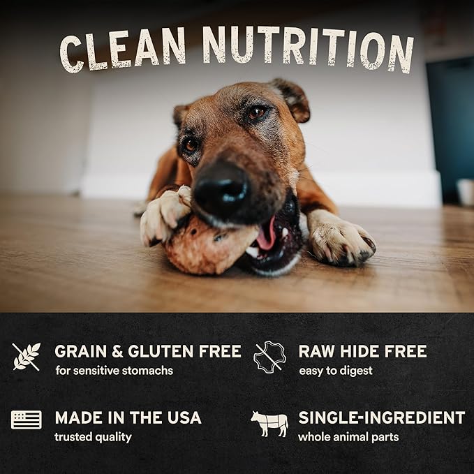 Vital Essentials Freeze-Dried Raw Duck Neck Dog Treat & Natural Chew, 3-Pack | Single Ingredient Dog Treat for Light Chewers | Made in USA