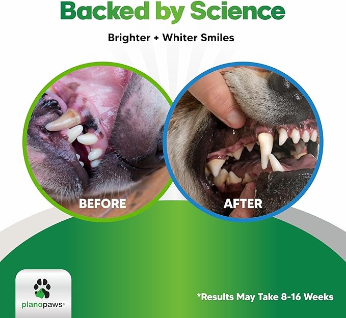Dog Teeth Cleaning Powder - Plaque and Tartar Remover - Dental Powder with Bactase PET - Breath Freshener for Overall Dental Care - Supports Mouth, Teeth, and Gum Health for All Ages and Sizes