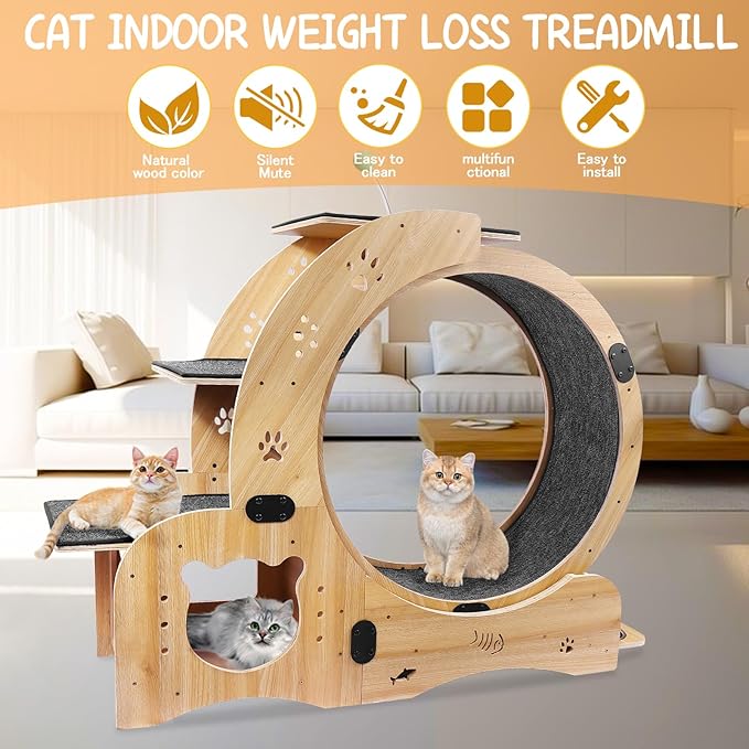 Cat Running Wheel,Cat Treadmill for Indoor Cats,Exercise Wheel Wood Climbing Frame,55''Oversized Roller Indoor Activity Center,Large (6-in-1)