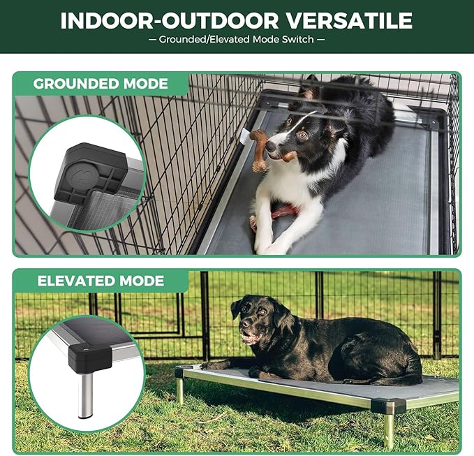 FXW TitanNest Chew-Proof Elevated Dog Bed, Raised Cot for Indoor/Outdoor/Camping Use, Durable & Washable Padded Pet Bed for Large Dogs, 47.0" L x 29.0" W x 7.3" H, Black