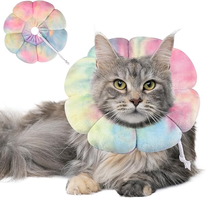Dog Cat Surgical Recovery Cone Dog Protective Collar, Pet Recovery E-Collar Soft Neck Cone to Stop Licking Wound for Cats & Kittens Small Dog After Surgery
