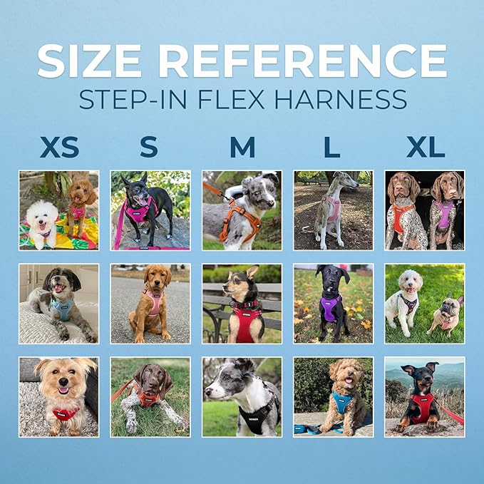 Best Pet Supplies Voyager Adjustable Step-in Flex Breathable Mesh Dog Harness for Small Medium Large Dogs (Orange), M