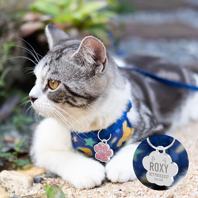 EDSG Cat Dog Tags Personalized for Pets, Dog Name Tags Cat Name ID Tag, Engraved Dog Tags Dog ID Tags Small Glitter Bling ID Tag Paw Print for Cat Pet Dog Puppy(Silver,Design 4)