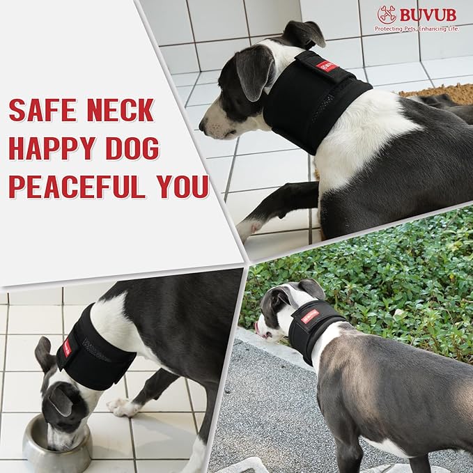 Adjustable Dog Neck Brace for Neck Pain & Injury Relief - Soft & Comfortable Support Collar for Dogs for Recovery After Surgery or Injury(Small)