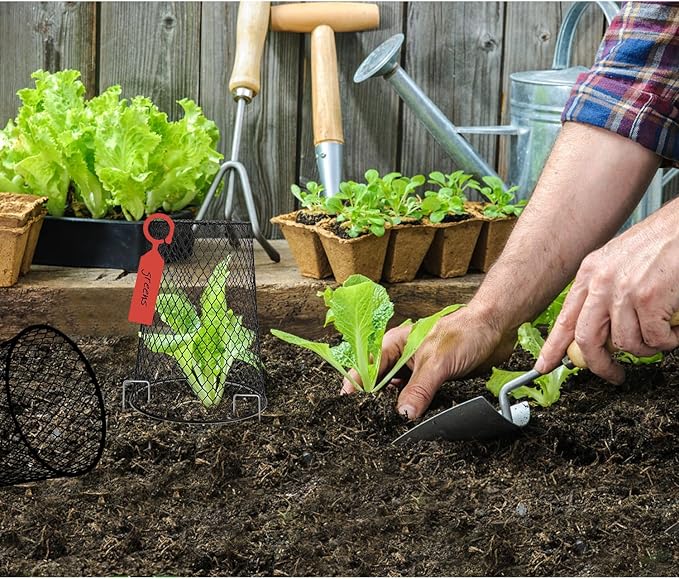 10 Pcs 6.8"×7.4" (Multiple Sizes/Quantities Available) Seedling Plant Protectors from Animals, Chicken Wire Plant Cage Garden Cloche to Protect Plants Vegetables from Rabbits Squirrels Chicken