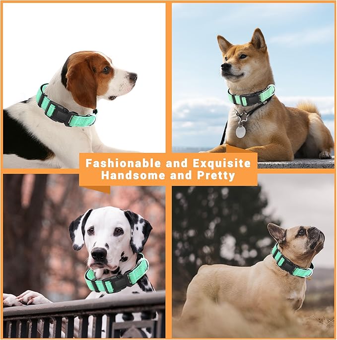 2 Pack Reflective Dog Collar with Safety Locking Buckle, Adjustable Soft Breathable Comfortable Nylon Pet Collar for Small, Medium and Large Dogs, Turquoise, S