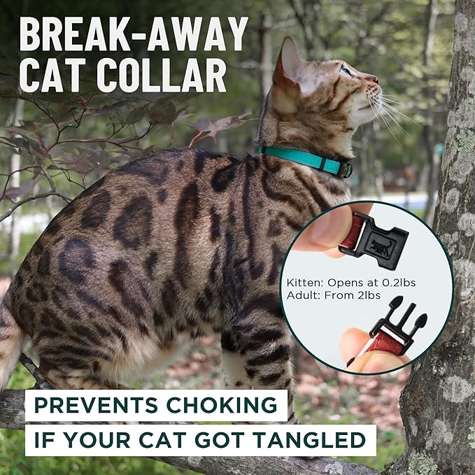 OutdoorBengal Orange Cat Collar Breakaway, Soft Padding for Medium to Large Cats - Durable Heavy Duty Tactical Fabric, Comfortable, Quick Release Breakaway Cat Collars, No Bell Collar (Orange, Adult)