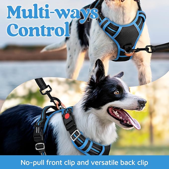 rabbitgoo Dog Harness for Large Dogs, No Pull Pet Vest with 3 Buckles, Adjustable Soft Padded Pet Harness with Easy Control Handle and Reflective Strips, Black & Sky Blue, L