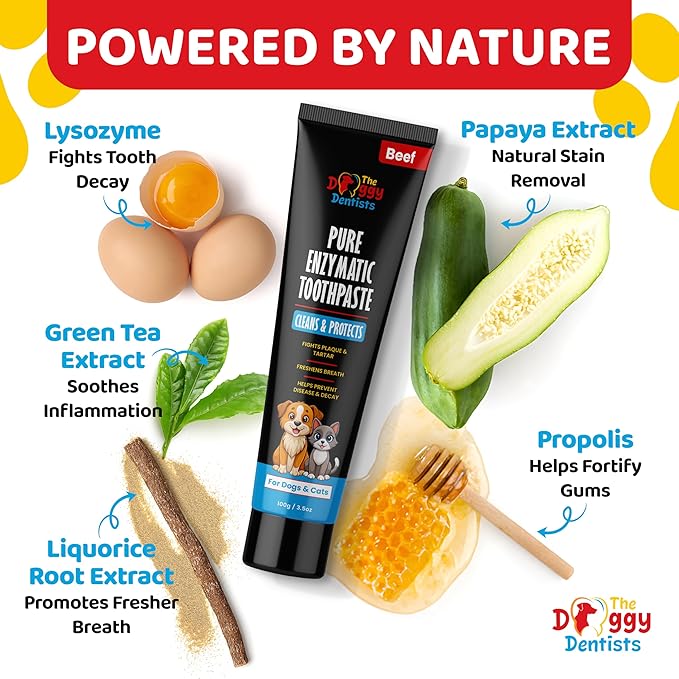 Vet Strength Pure Enzymatic Dog & Cat Toothpaste | 3.5oz Beef Flavor | Enzyme Pet Toothpaste for Tartar Removal, Bad Breath, Teeth Cleaning | Suitable for Puppies & Kittens
